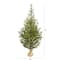 5ft. Pre-Lit Fraser Fir Natural Look Artificial Christmas Tree with Clear LED Lights